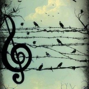 Meet your Posher, Carol